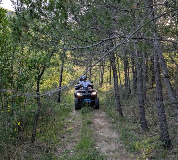 Bike quad Split county tour